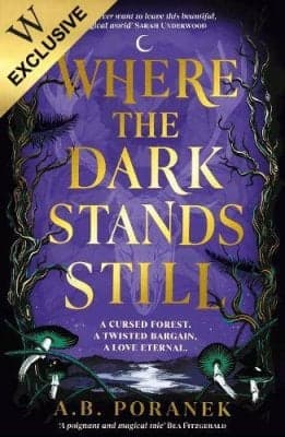 Cover of Where the Dark Stands Still