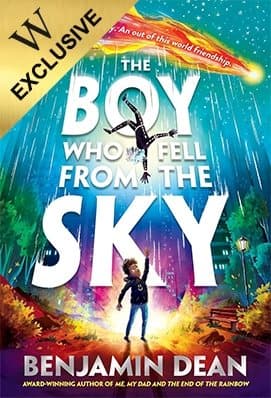 Cover of The Boy Who Fell From the Sky