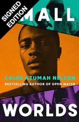 Cover of Small Worlds