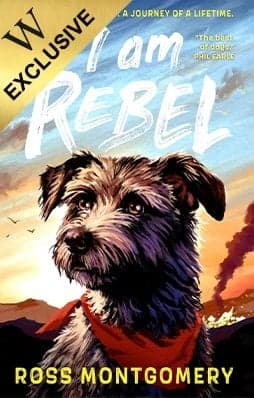 Special edition cover
