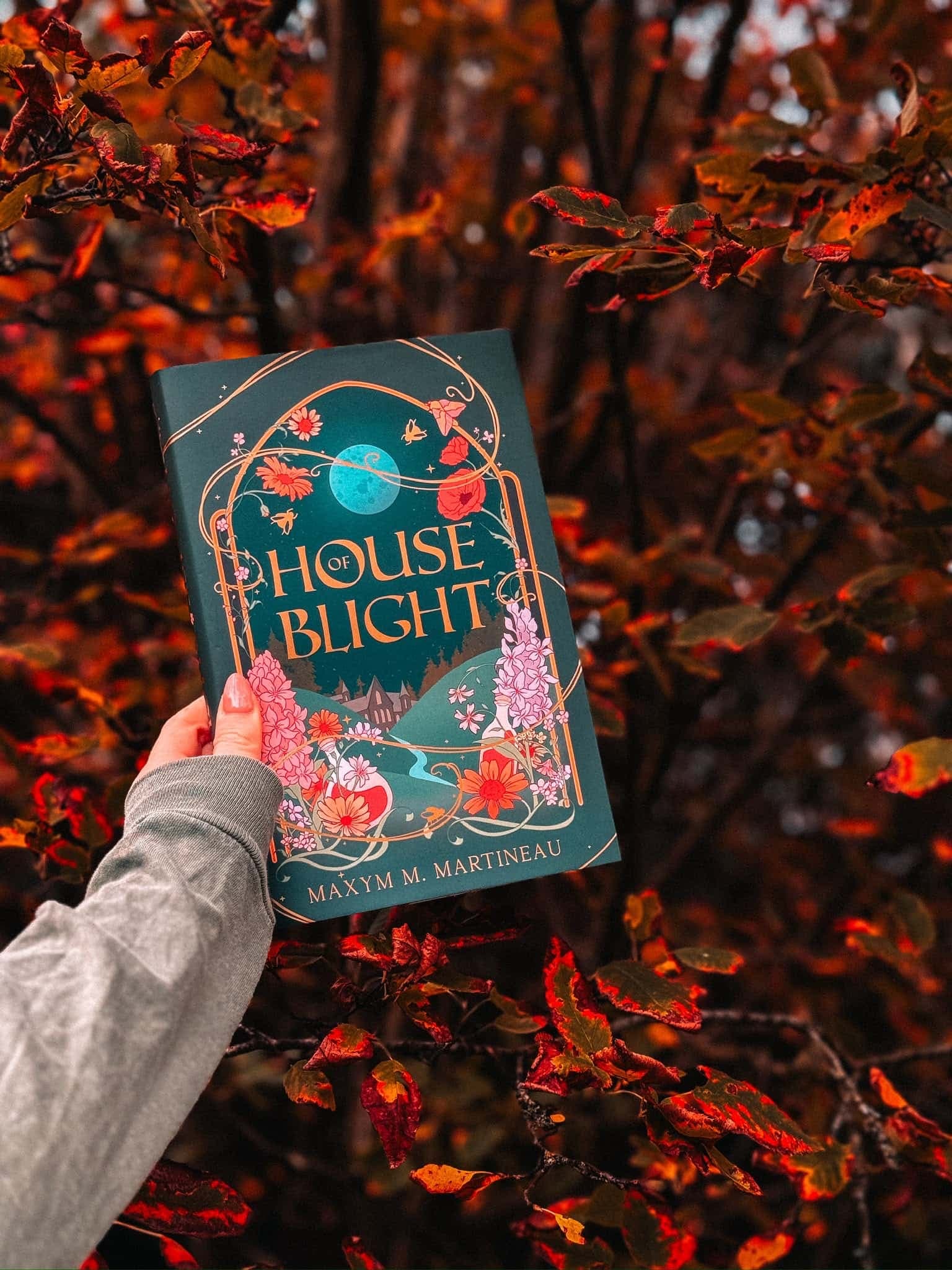 Cover of House of Blight