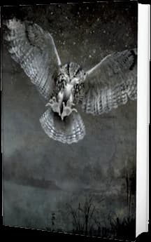 Cover of Shadowland