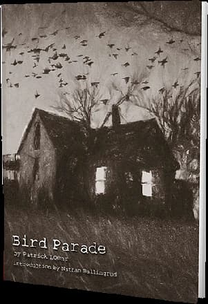 Cover of Bird Parade