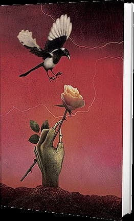 Cover of Sweetheart, Sweetheart