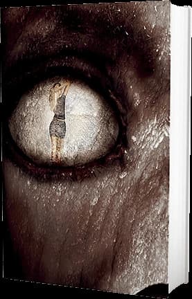 Cover of Masters of the Weird Tale