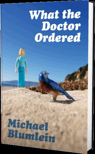 Cover of What the Doctor Ordered