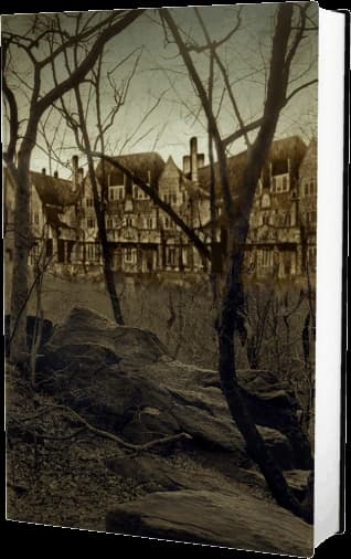 Cover of The Well