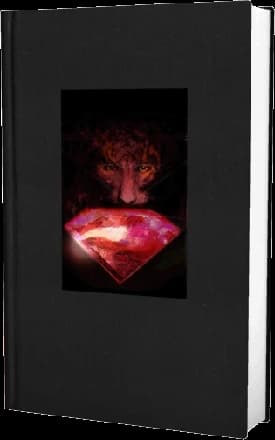 Cover of Catacombs