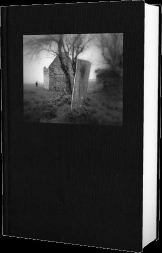 Cover of Salem’s Lot