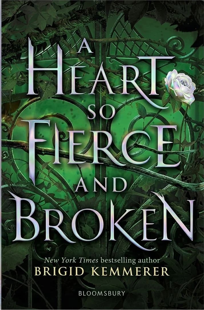 Cover of A Heart So Fierce and Broken
