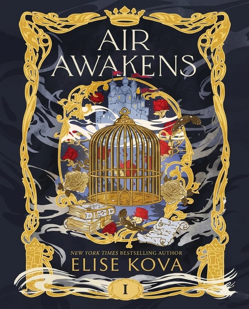 Cover of Air Awakens