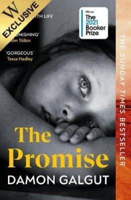 Cover of The Promise