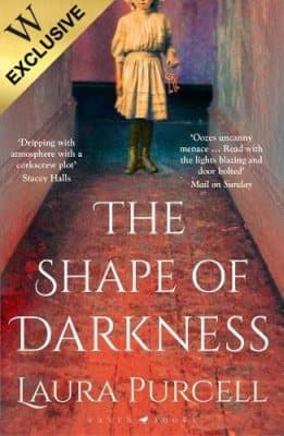 Cover of The Shape of Darkness