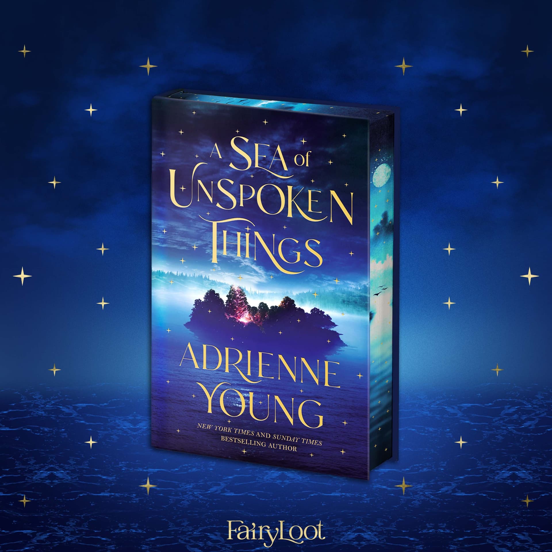 Cover of A Sea of Unspoken Things
