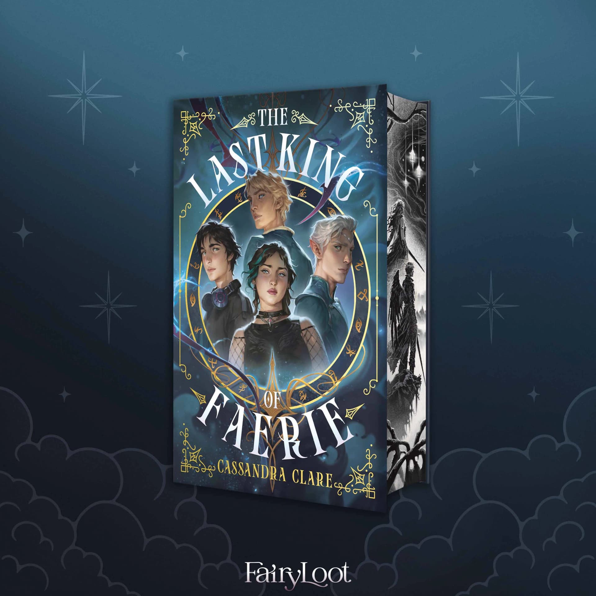 Cover of The Last King of Faerie (The Wicked Powers Book 1)