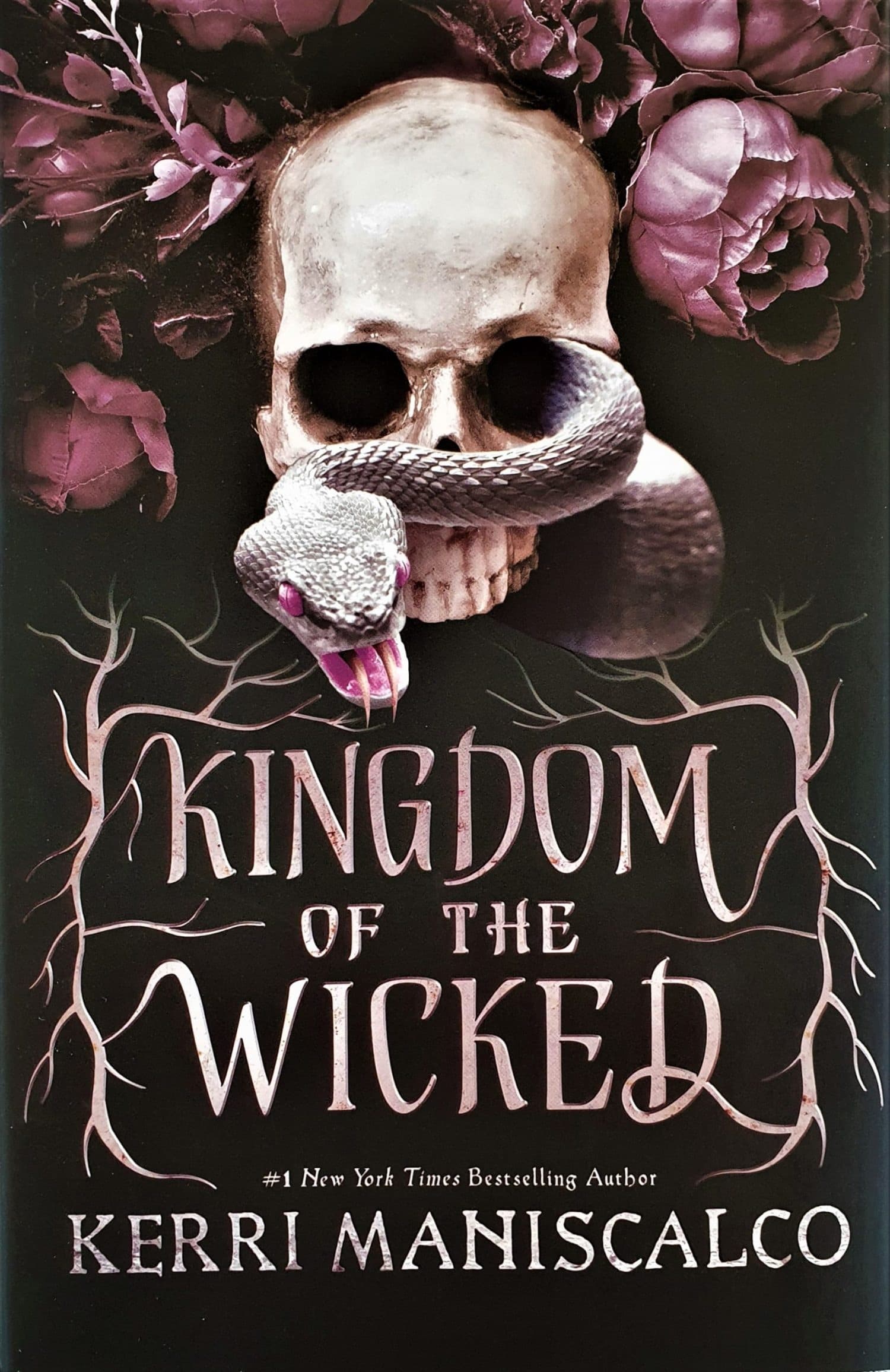 Cover of Kingdom of the Wicked
