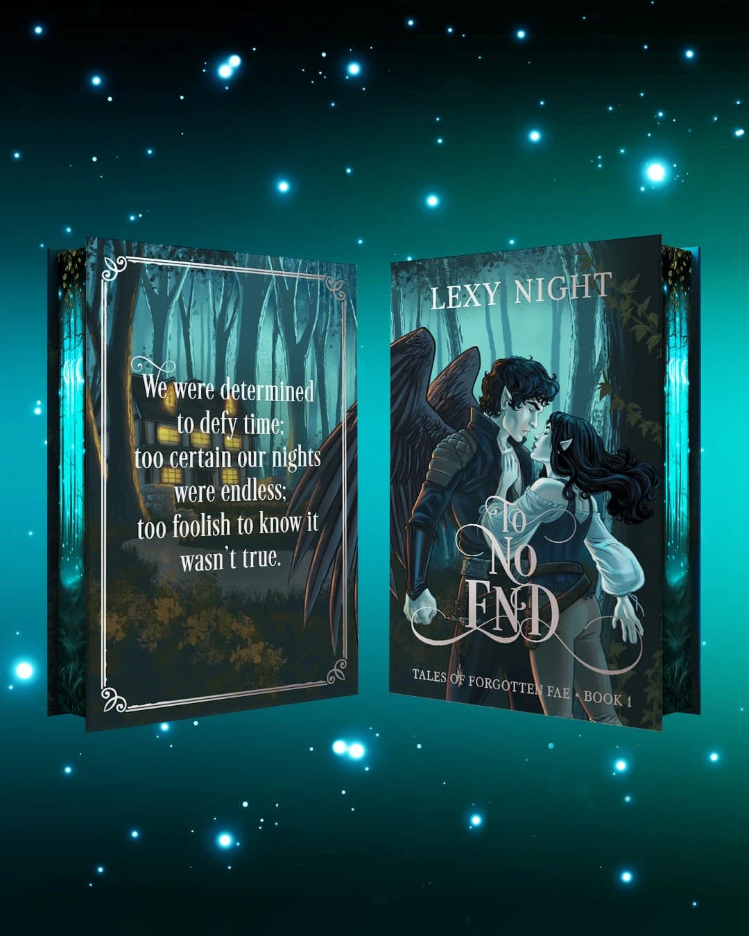 Cover of To No End