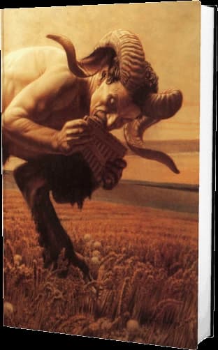 Cover of Wildwood