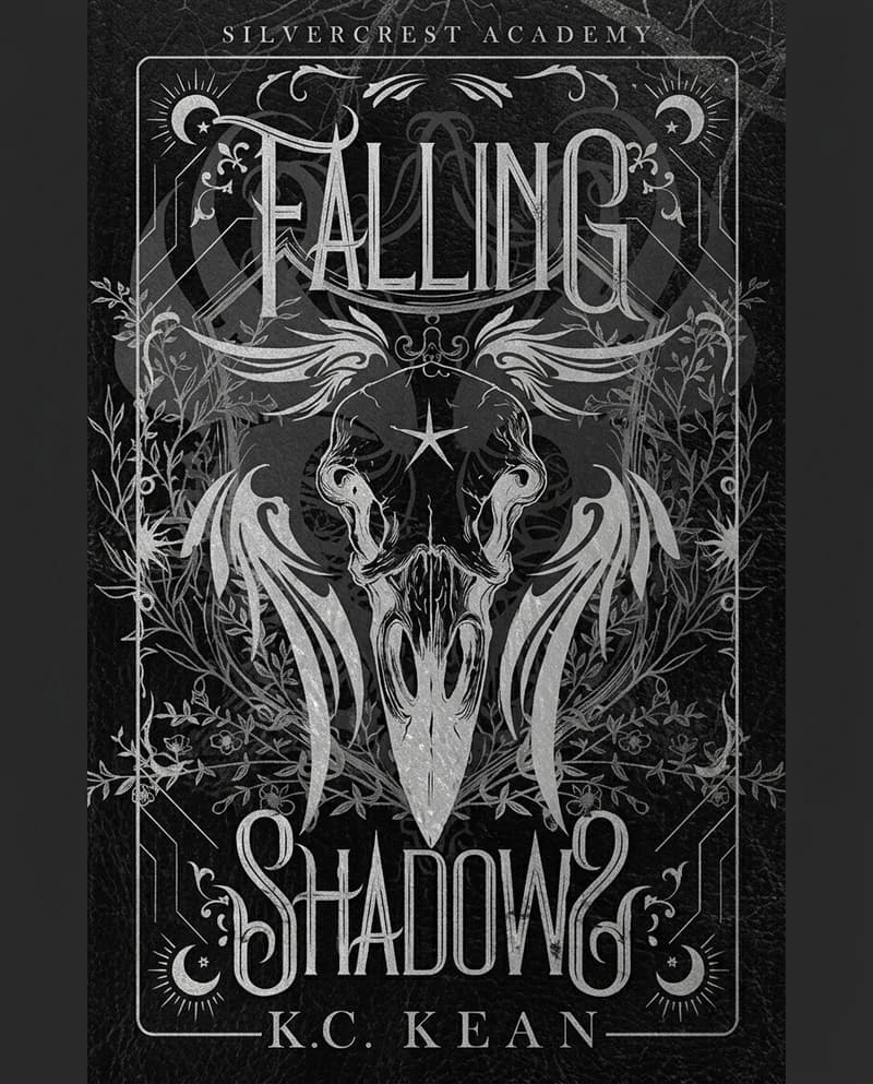 Cover of Falling Shadows by K.C. Kean