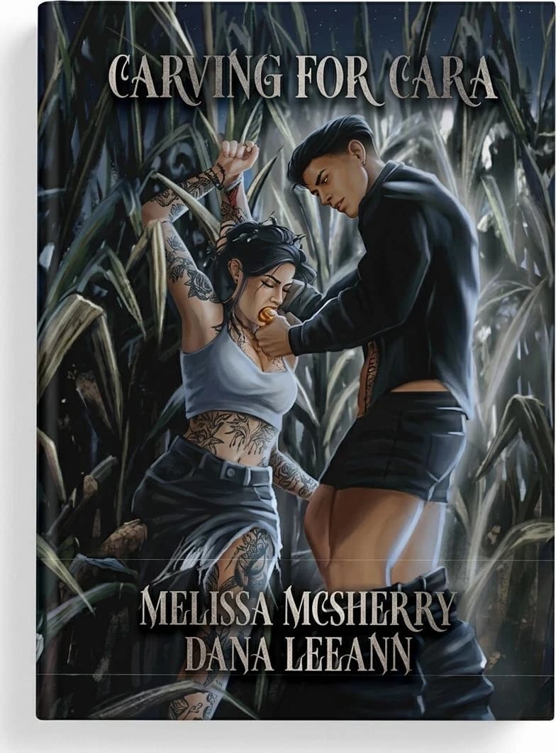 Cover of Wrecked set — Special Edition by Dana LeeAnn, Melissa McSherry