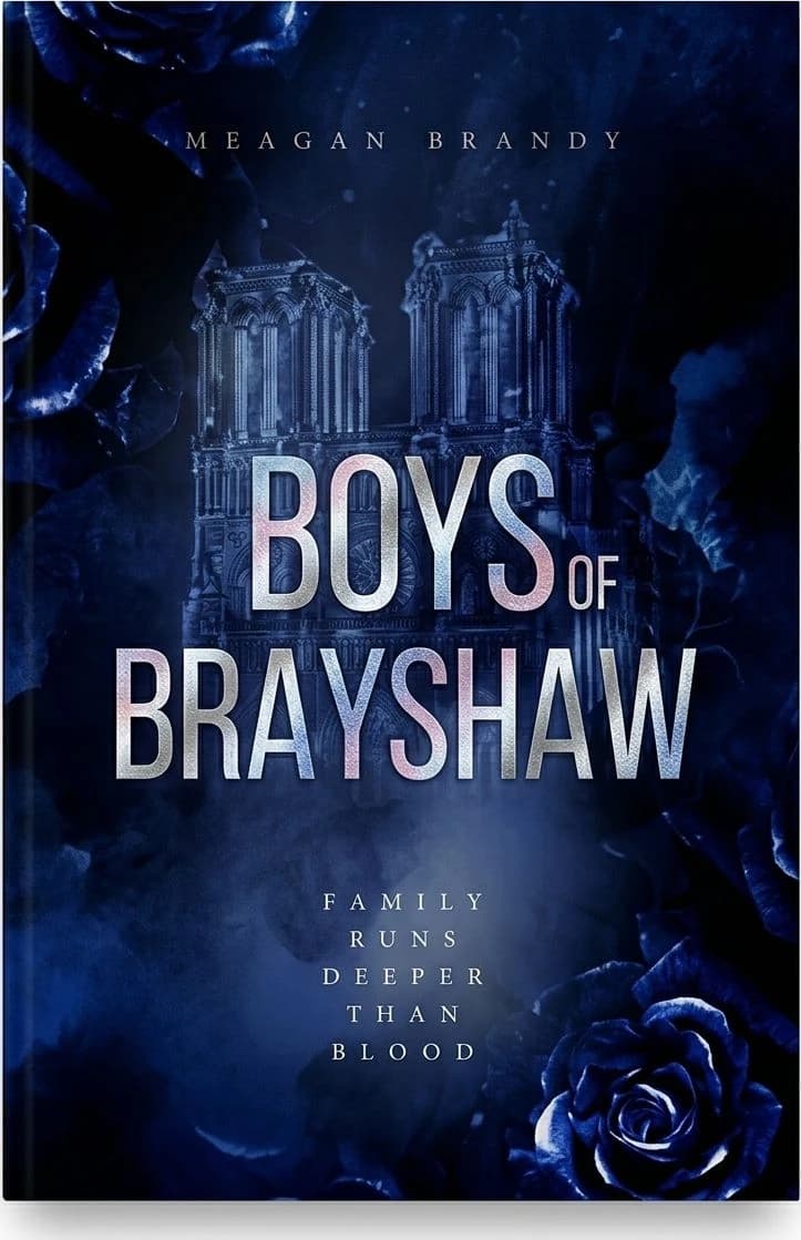 Cover of Boys of Brayshaw High set by Meagan Brandy