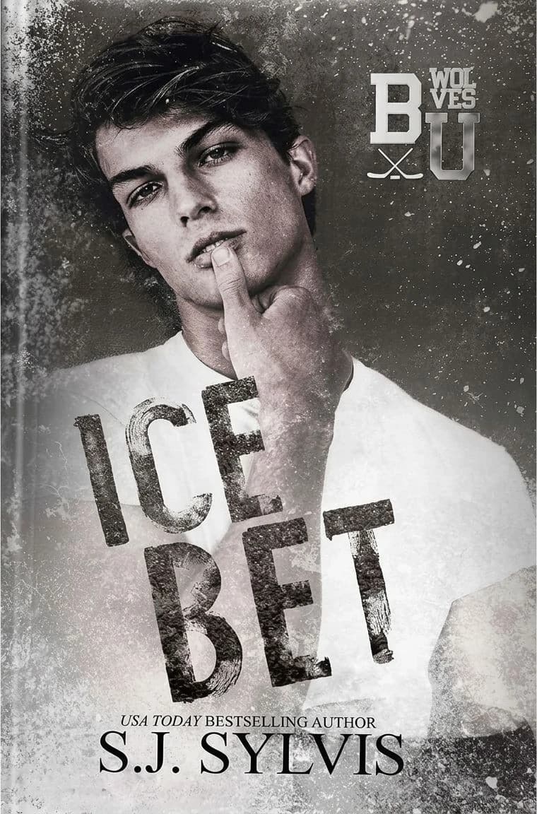 Cover of Ice Bet by S.J. Sylvis