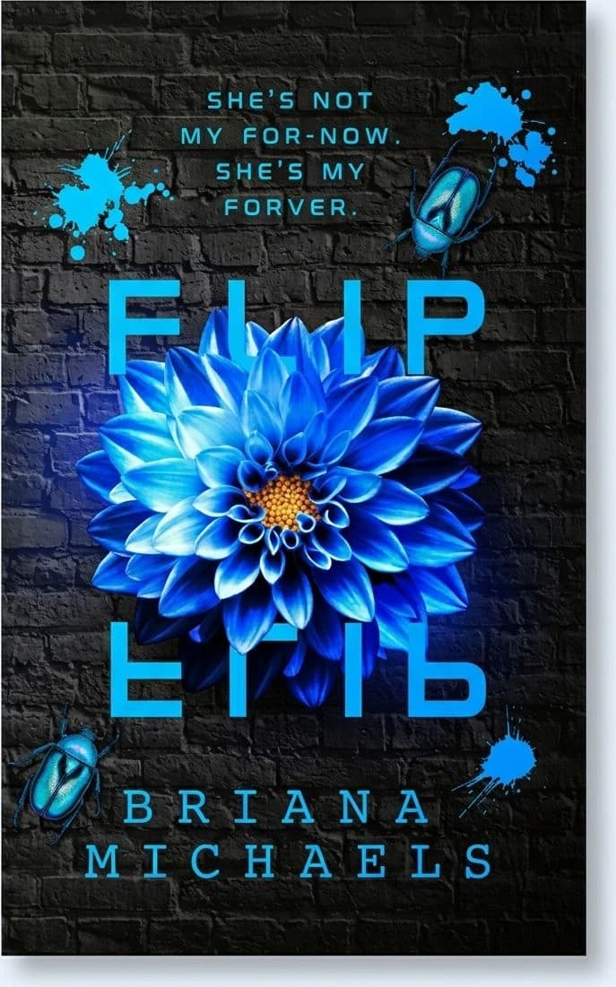 Cover of Flip & Click set by Briana Michaels