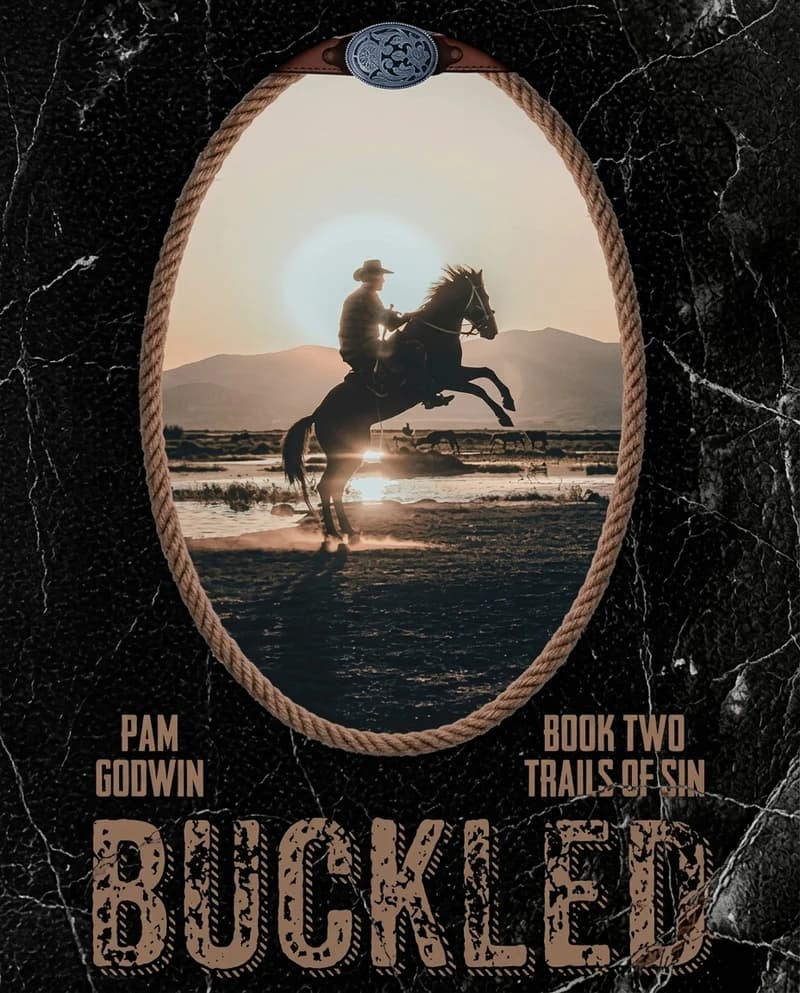 Cover of Buckled & Booted set — Special Edition by Pam Godwin