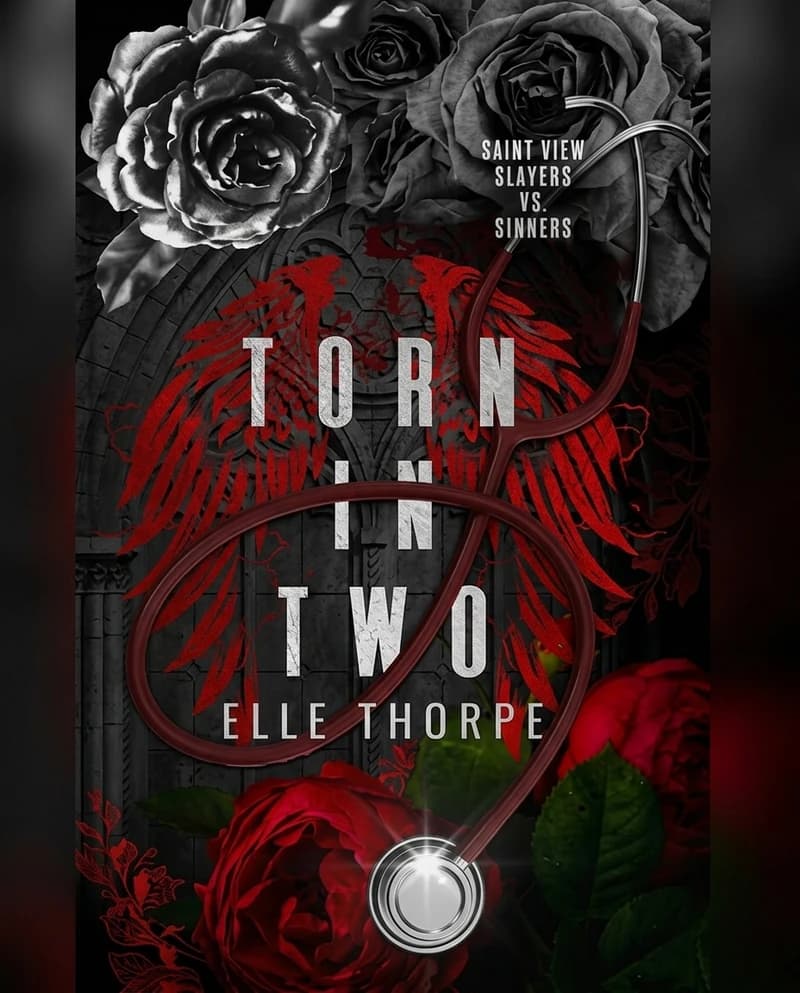 Cover of Saint View Slayers vs. Sinners Books 2 & 3 set — Special Edition by Elle Thorpe