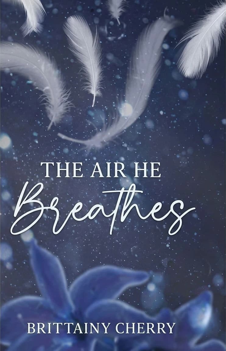 Cover of The Air He Breathes & The Fire Between High & Lo set by Brittainy Cherry