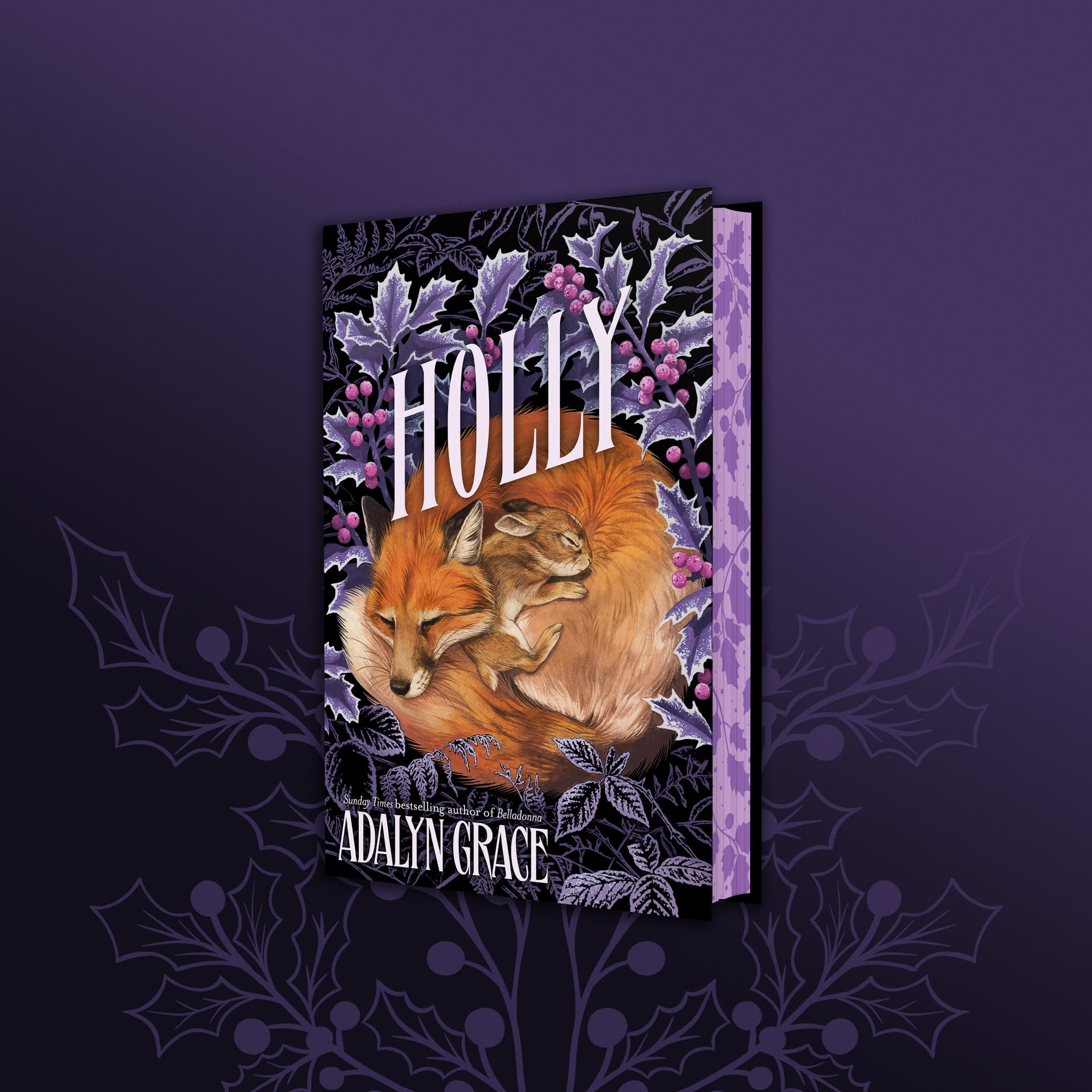 Cover of Holly