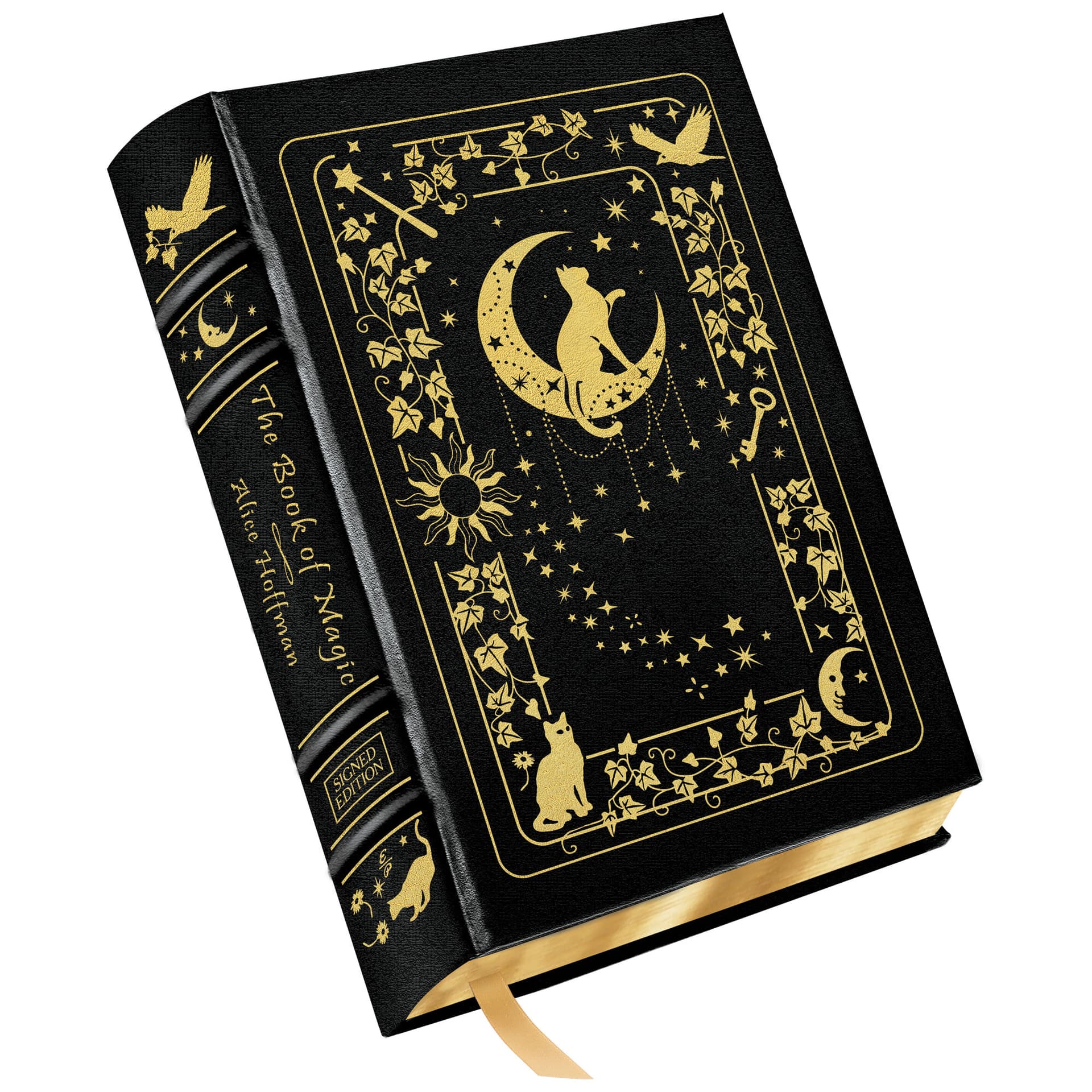 Cover of The Book of Magic by Alice Hoffman