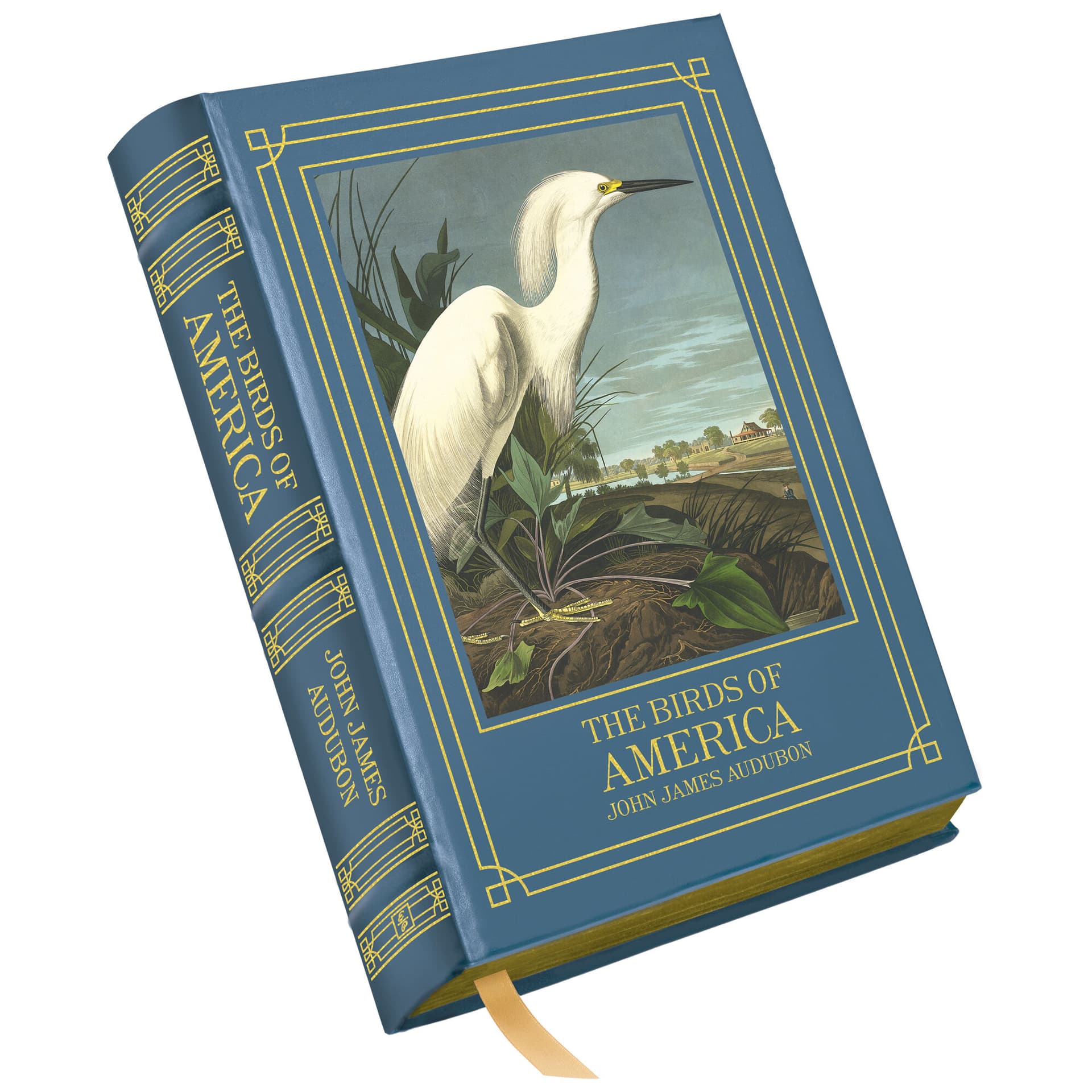 Cover of The Birds of America