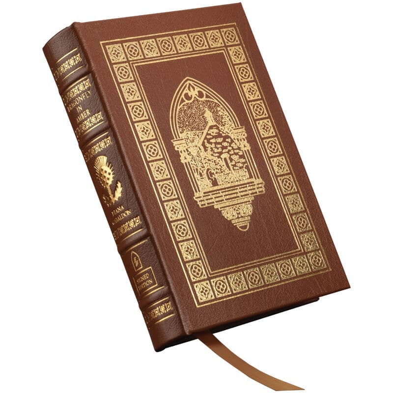 Cover of Dragonfly in Amber