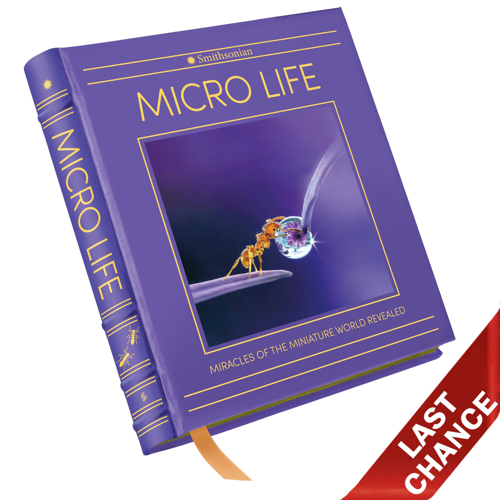 Cover of Micro Life